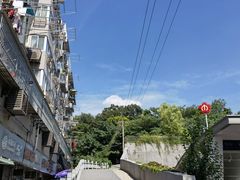 -紫金山山顶公园
