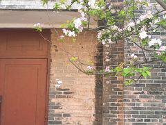 -山东师范大学(千佛山校区)