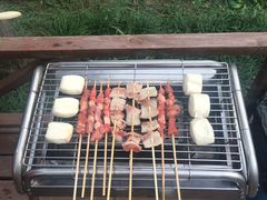 -崇明东平国家森林公园烧烤房车露营地