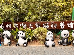 -苏州太湖国家湿地公园