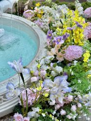 -米莱摄影写真(五大道别墅店)