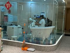 -momokira米努特·德文卷毛猫·棉花面纱犬