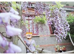 -南通博物苑-崇川人民公园