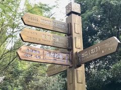 -南宁良凤江国家森林公园