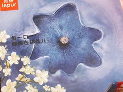 蓝莓接骨木花-乐纯(苹果社区店)