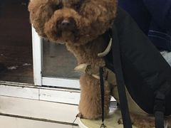 -袁老大龙虾(石鼓路总店)