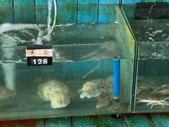 -蓝湾碧波·老字号·疍家非遗海上餐厅