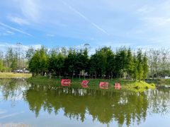 -合肥滨湖国家森林公园