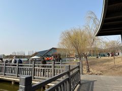 -上海长兴岛郊野公园