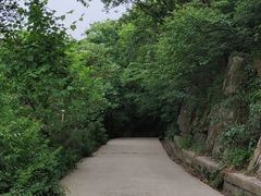 -紫金山山顶公园