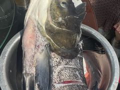 -好灶头妈妈菜·柴火灶台鱼·千岛湖土菜地标美食