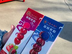 -大明幻境第一城