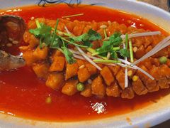 -陈麻婆豆腐(旗舰店)