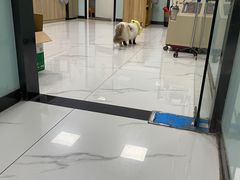 -嘉馨宠物医院·CT影像转诊·心脏科·犬猫全科诊疗中心(下沙大学城院区)