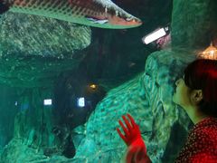 -华夏文旅海洋公园