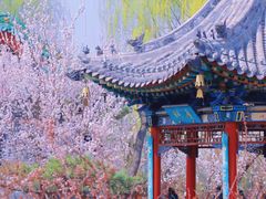 -迎泽公园
