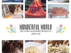 东星斑-尚海豆捞(乐虹坊店)