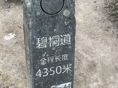 -梧桐山风景名胜区