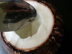 -志龙皇冠吃货椰子铺