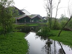 景点-西湖风景区-江洋畈生态公园