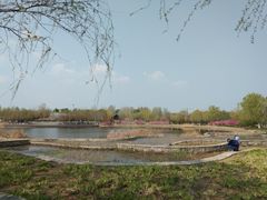 -永定河休闲森林公园