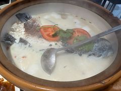 -全乐鱼馆·淳牌有机鱼直营店