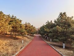 -云岗森林公园