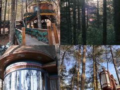 -洛阳白云山景区