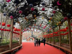 -郑州方特梦幻王国