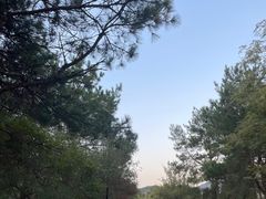 -南京市无想山景区