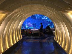 -迪拜帆船酒店海底餐厅