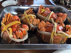 -喜洋洋蟹庄(阳澄湖店)