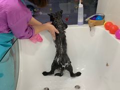 -宠颐生中康贝怡动物医院