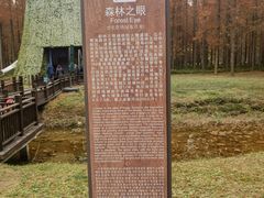 -黄海国家森林公园