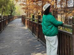 -溱湖国家湿地公园