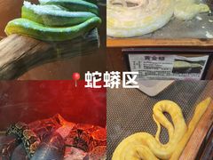 -上海大自然野生昆虫馆(东方明珠·爬宠昆虫探索中心)