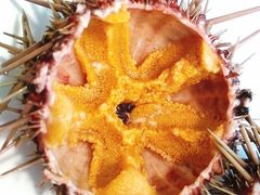 -海胆小馆(东北水饺·春柳店)