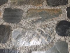 -麒麟中餐厅·经典粤菜·地道菜式老字号(广州长隆酒店)