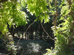 -永定河休闲森林公园