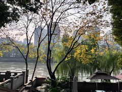 -邈墨茶馆(大兜路1号店)