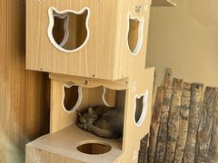 -青藏高原野生动物园