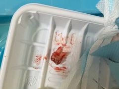 -上海仁爱医院口腔科 · 种植