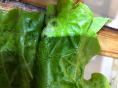 -莱真牛碳火烤肉(合肥旗舰店)