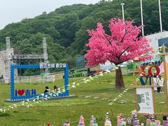 -吉林市朱雀山国家森林公园