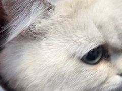 -联合动物医院(光谷诊疗中心)
