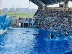 -上海海昌海洋公园
