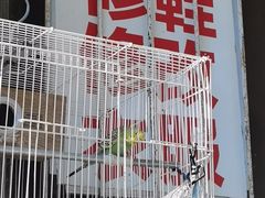 -便民修衣服修鞋店