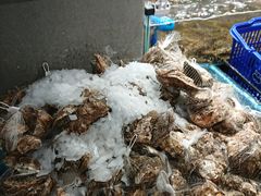 -盒马鲜生(曜一城店)