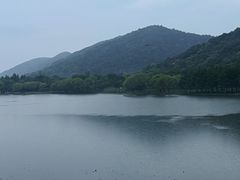 -长广溪湿地公园