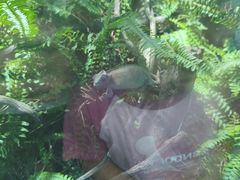 -上海大自然野生昆虫馆(东方明珠·爬宠昆虫探索中心)